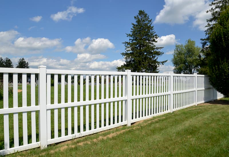 Why You Shouldn't Ignore Your Fence: The Importance of Regular Cleaning